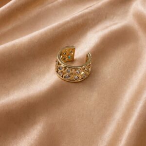 PIERCING FAKE ELEGANTE